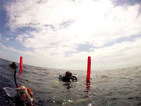 divers at surface using SMB and Nautilus LifeLine Radio